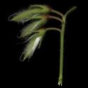 Img.VTax717.ExN.Img9