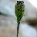 Img.VTax948.ExN.Img6