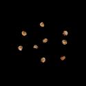 Img.VTax949.ExN.Img6