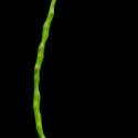 Img.VTax1057.ExN.Img9