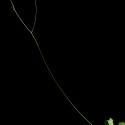 Img.VTax1151.ExN.Img3