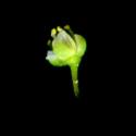 Img.VTax1178.ExN.Img5