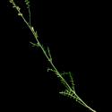 Img.VTax1219.ExN.Img1