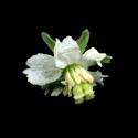 Img.VTax1220.ExN.Img9