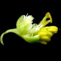 Img.VTax1225.ExN.Img9