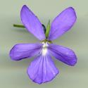 Img.VTax1304.ExN.Img9