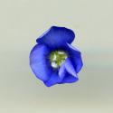Img.VTax1411.ExN.Img10