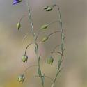 Img.VTax1411.ExN.Img3