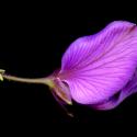 Img.VTax1467.ExN.Img6