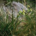 Img.VTax1564.ExN.Img9