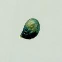 Img.VTax180.ExN.Img6