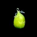 Img.VTax1879.ExN.Img4