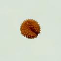 Img.VTax1913.ExN.Img4