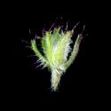 Img.VTax2154.ExN.Img4