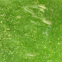Img.VTax2174.ExN.Img15