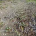 Img.VTax2221.ExN.Img3