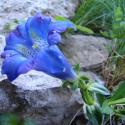 Img.VTax2278.ExN.Img3