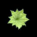 Img.VTax2438.ExN.Img9