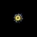 Img.VTax2501.ExN.Img6