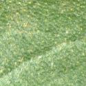 Img.VTax2559.ExN.Img32