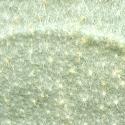 Img.VTax2559.ExN.Img33
