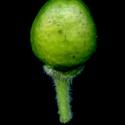 Img.VTax2577.ExN.Img7