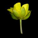 Img.VTax262.ExN.Img7