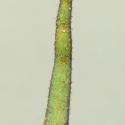Img.VTax2705.ExN.Img7