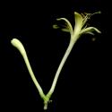 Img.VTax2873.ExN.Img7