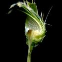 Img.VTax3279.ExN.Img9