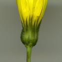 Img.VTax3401.ExN.Img4
