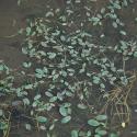 Img.VTax3470.ExN.Img3
