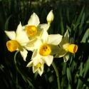 Img.VTax3614.ExN.Img4