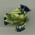 Img.VTax3632.ExN.Img9