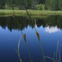 Img.VTax3772.ExN.Img3
