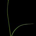 Img.VTax3778.ExN.Img6