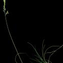 Img.VTax3869.ExN.Img3