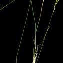 Img.VTax3979.ExN.Img2