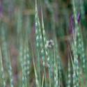 Img.VTax3990.ExN.Img9