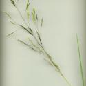 Img.VTax4042.ExN.Img6