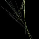Img.VTax4129.ExN.Img1