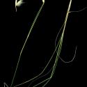 Img.VTax4148.ExN.Img3