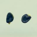 Img.VTax581.ExN.Img1