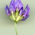Img.VTax624.ExN.Img3