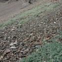 Img.VTax662.ExN.Img7