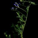 Img.VTax674.ExN.Img10