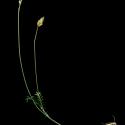 Img.VTax880.ExN.Img9