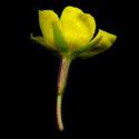 Img.VTax897.ExN.Img9