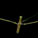 Img.VTax992.ExN.Img9