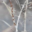Img.VTax1021.ExN.Img4